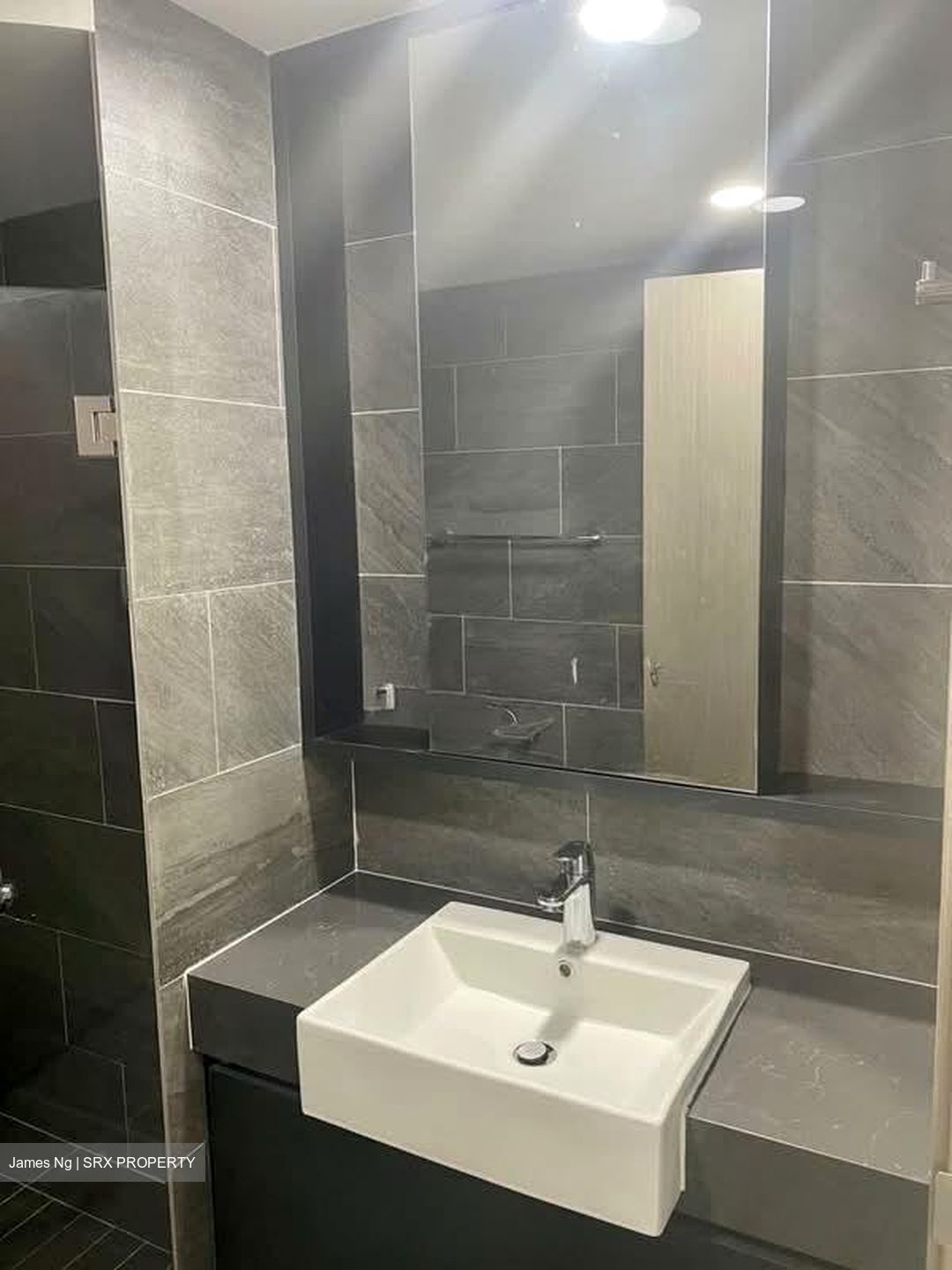 Serangoon North Avenue 1 (D19), Condominium #562247221